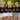 Set Braut Blumen mit Team Braut Eleganz Crew JGA